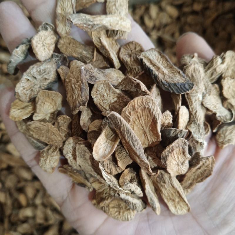 批发.牛蒡片500克牛蒡根牛蒡片干货牛蒡茶泡水