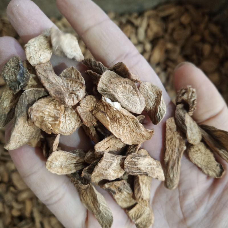 批发.牛蒡片500克牛蒡根牛蒡片干货牛蒡茶泡水