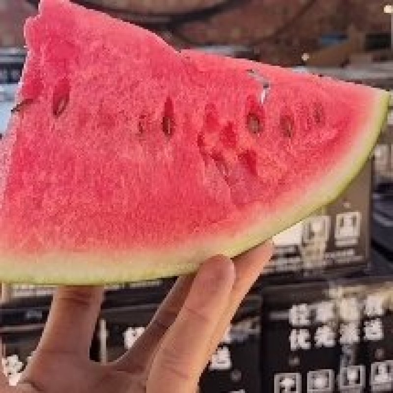 宁夏中卫硒砂瓜新鲜水果头茬大西瓜