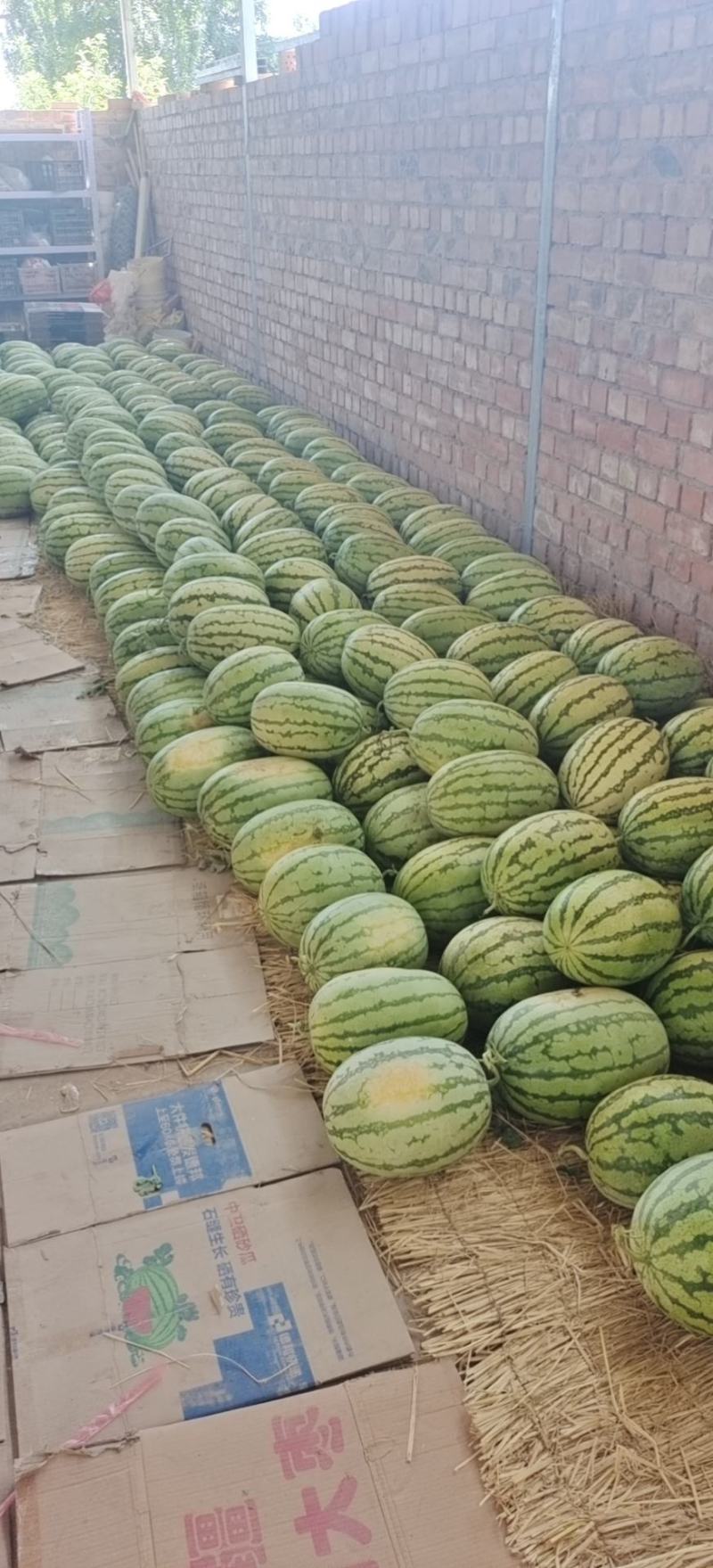 宁夏中卫硒砂瓜新鲜水果头茬大西瓜