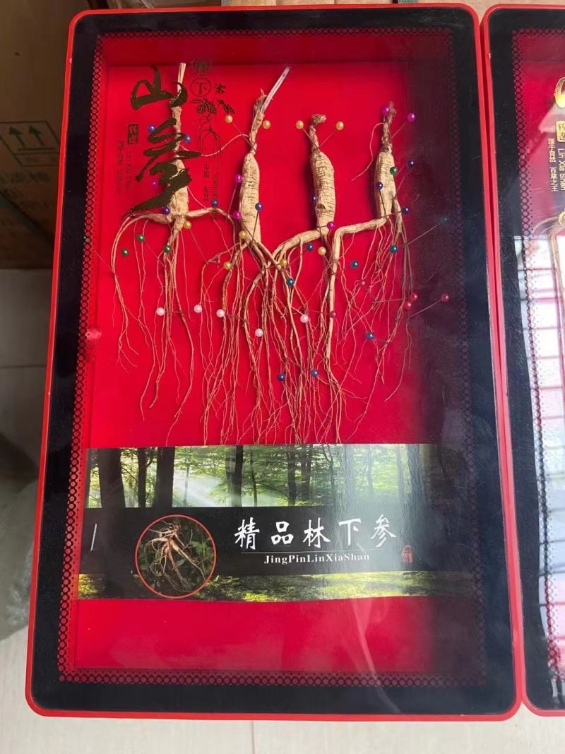 长白山人参干参林下参炖汤泡水泡酒人参真人参高龄百年人参野