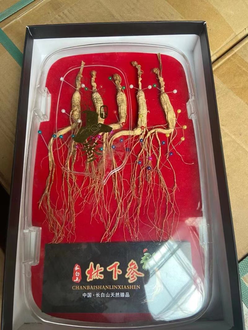 长白山人参干参林下参炖汤泡水泡酒人参真人参高龄百年人参野