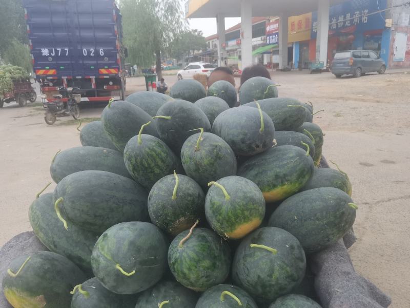 山东黑美人口感好含糖高各种规格都有满足商超批发商