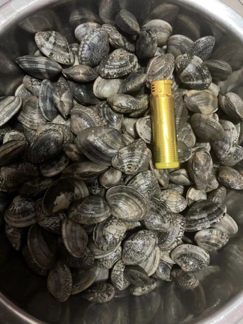 30多粒黄蚬子，40多粒花蛤需要的来