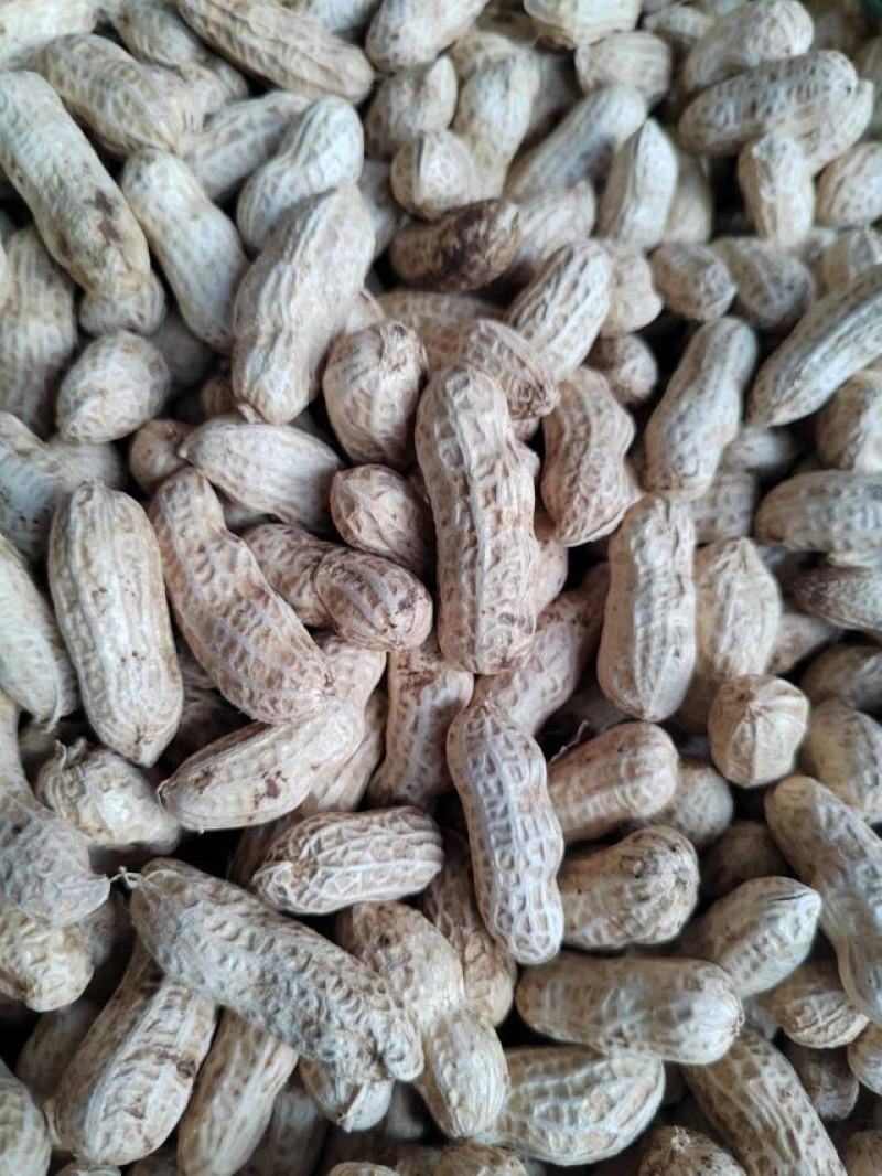 精品红花生，三粒红，二粒红
