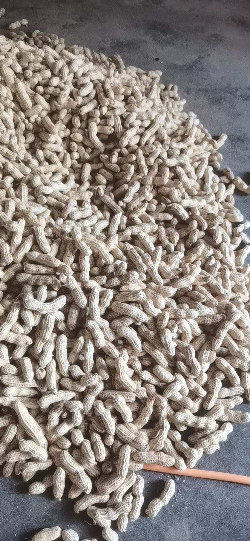 精品红花生，三粒红，二粒红