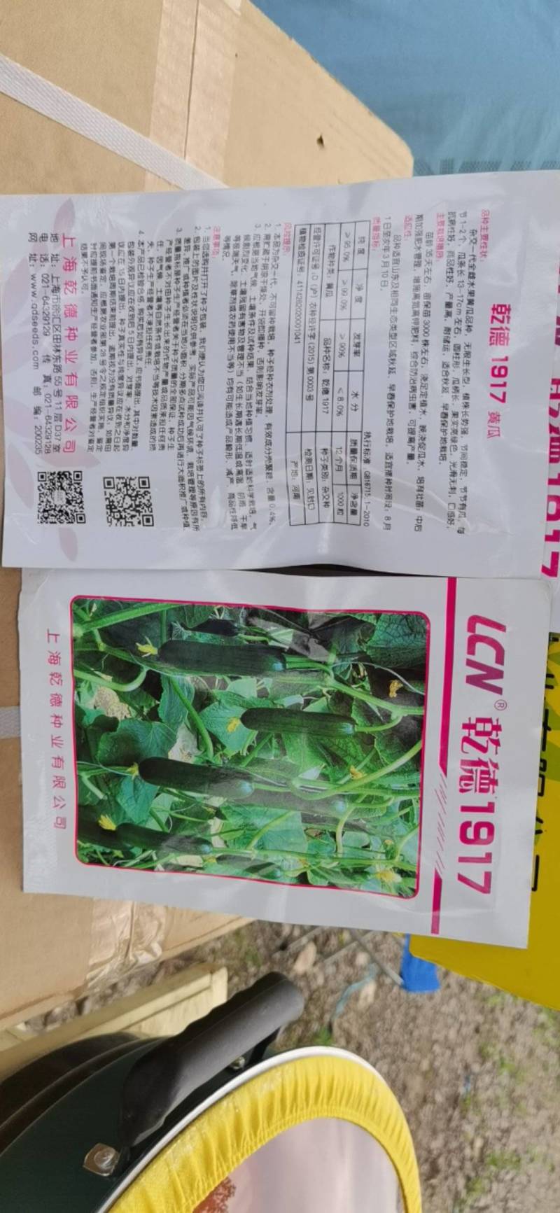 【热卖全国包邮】秋延越冬早春无刺小黄瓜乳瓜种子高产抗病.