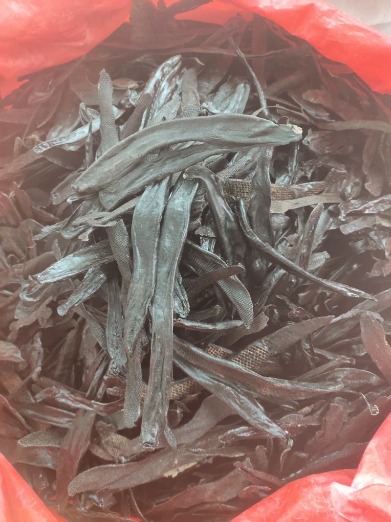 正宗特级水蛭干中药材清水无盐宽体水蛭干货蚂蟥水蛭