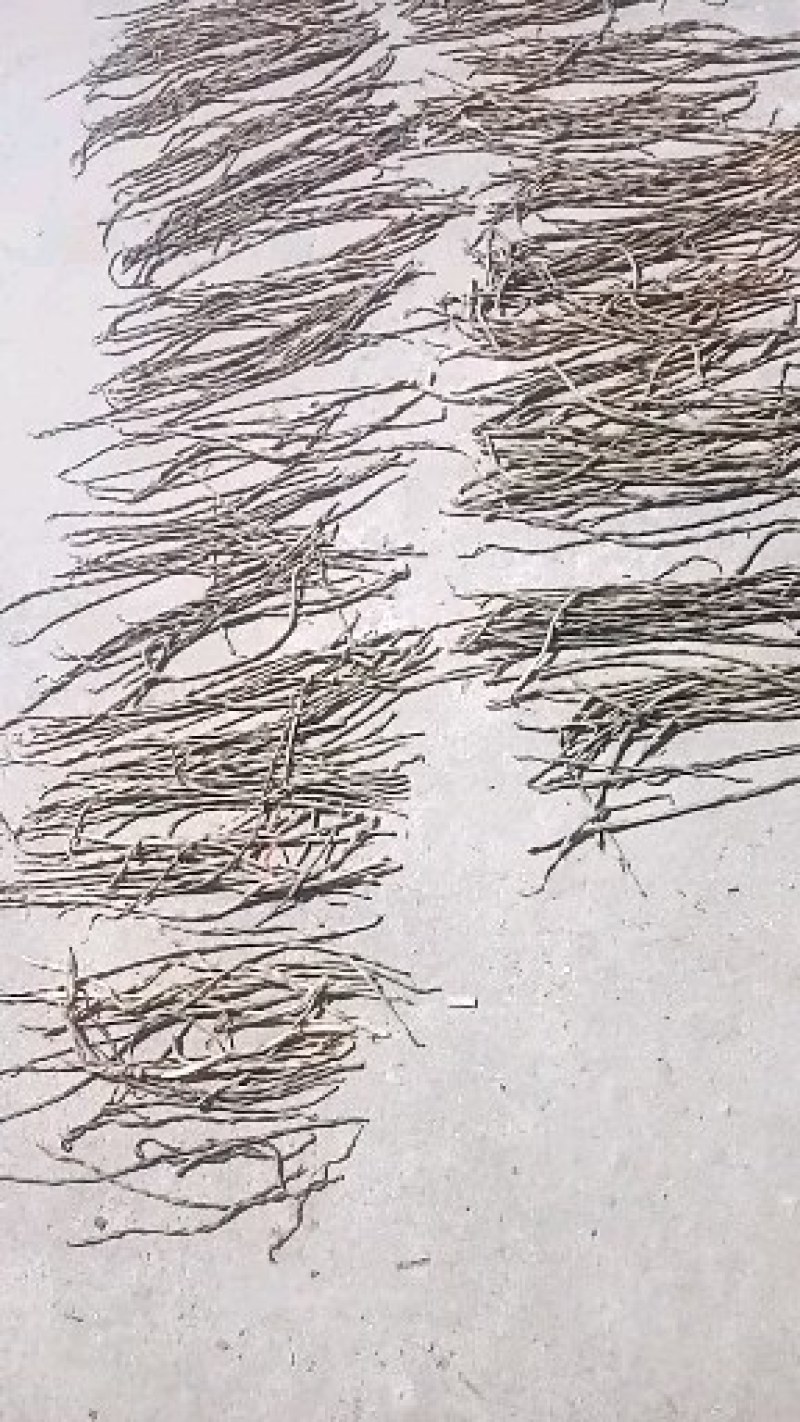 豆角长期大量供应干豇豆干豆角鲜豇豆鲜豆角欢迎老板订货