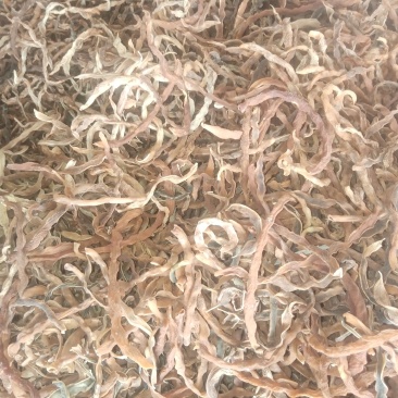 豆角长期大量供应干豇豆干豆角鲜豇豆鲜豆角欢迎老板订货