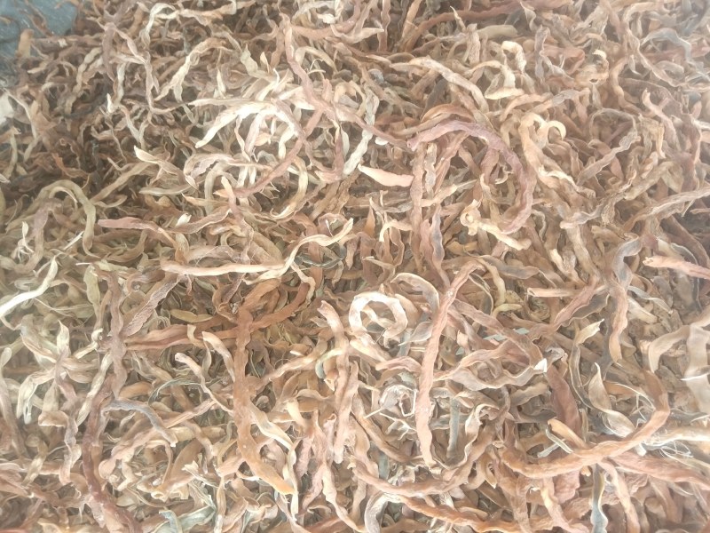 豆角长期大量供应干豇豆干豆角鲜豇豆鲜豆角欢迎老板订货