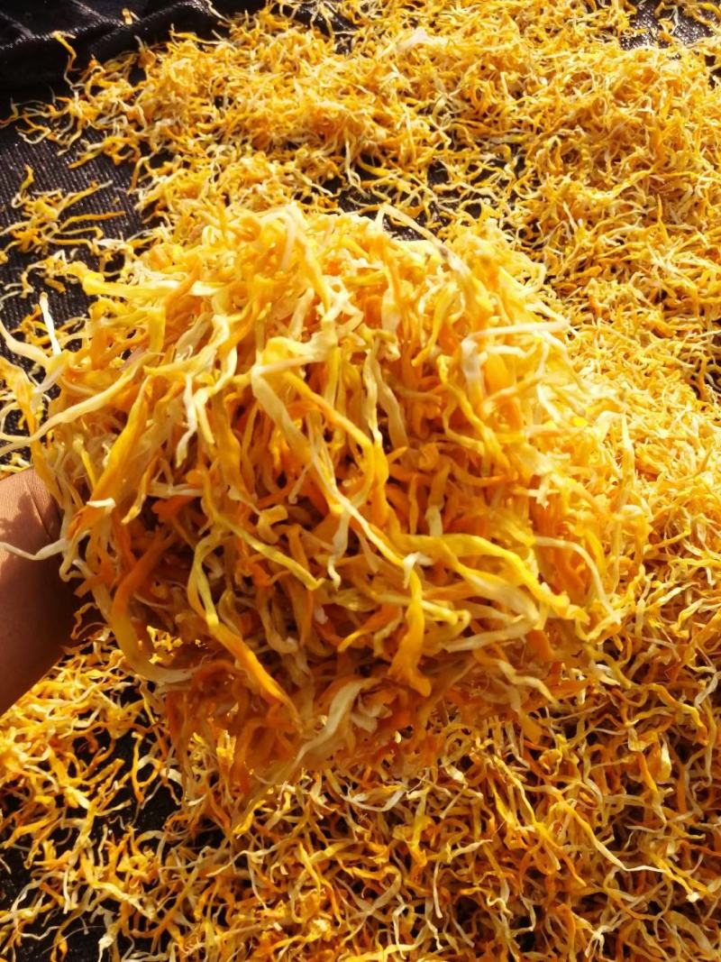 祁东黄花菜保鲜黄花菜凉拌黄花菜原材料产地供货
