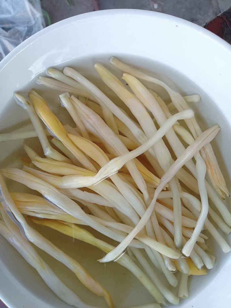 祁东黄花菜保鲜黄花菜凉拌黄花菜原材料产地供货