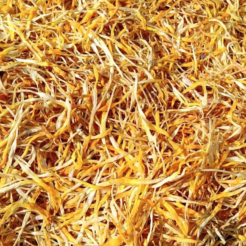 祁东黄花菜保鲜黄花菜凉拌黄花菜原材料产地供货