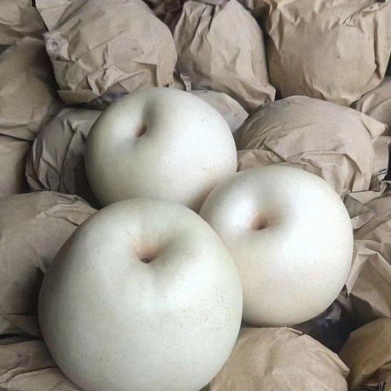 皇冠梨