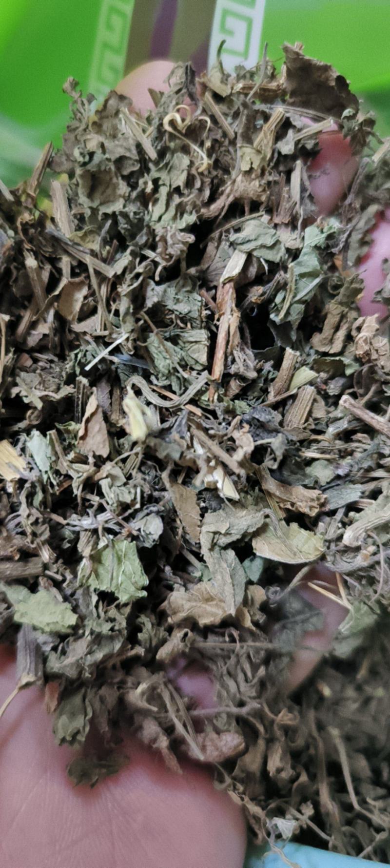 绞股蓝茶用龙珠绞股蓝包邮发货七叶绞股蓝可常年供
