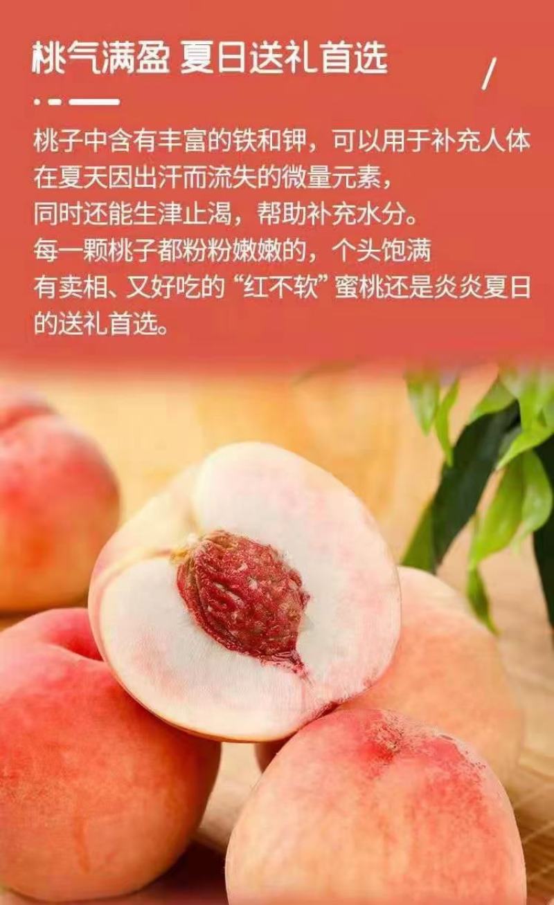北京平谷早14号，离核水蜜桃，硬吃脆甜，软吃糯甜