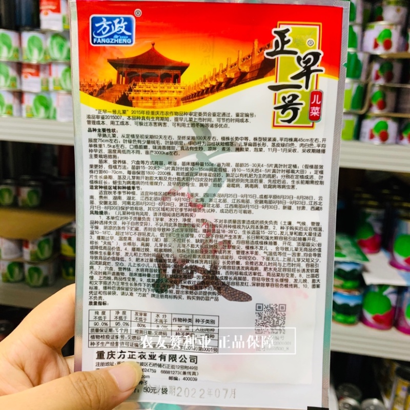 方政正早一号儿菜种子早熟儿菜种子基地专用品种脆嫩微甜