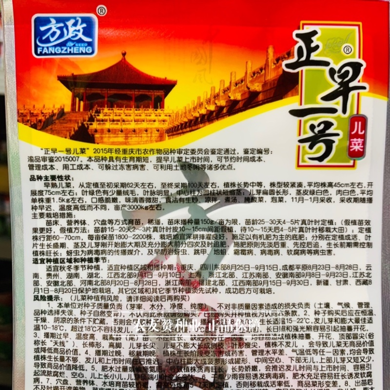 方政正早一号儿菜种子早熟儿菜种子基地专用品种脆嫩微甜