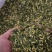 江西莲子芯
