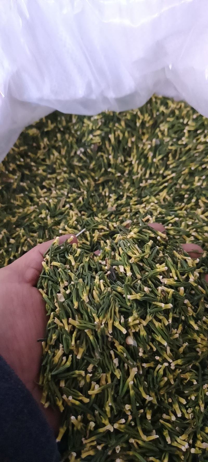 江西莲子芯