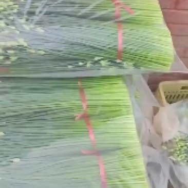 精品高山豆王各种蔬菜都有，需要可以联系我，样样都是精品