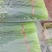 精品高山豆王各种蔬菜都有，需要可以联系我，样样都是精品