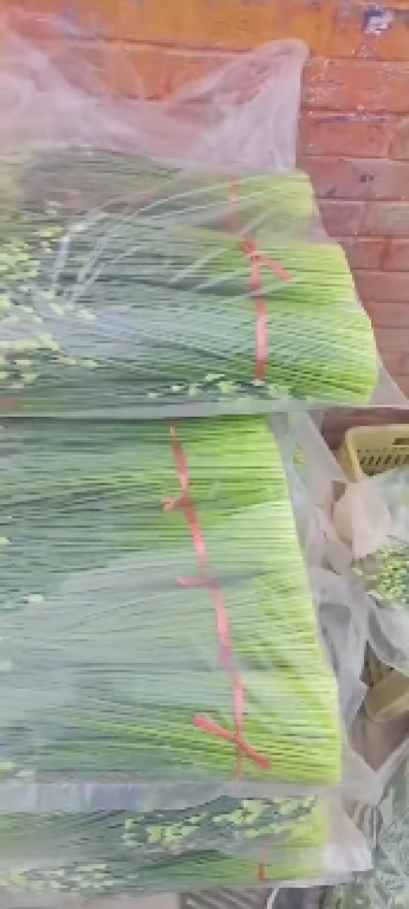 精品高山豆王各种蔬菜都有，需要可以联系我，样样都是精品