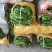 精品高山豆王各种蔬菜都有，需要可以联系我，样样都是精品