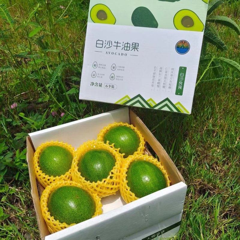 顺丰京东包邮～海南白沙精品牛油果5斤5-7个