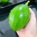 顺丰京东包邮～海南白沙精品牛油果5斤5-7个