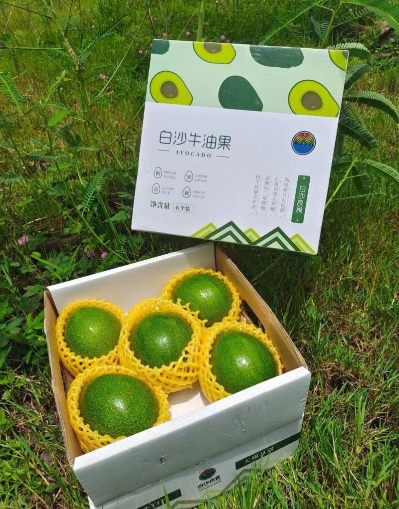顺丰京东包邮～海南白沙精品牛油果5斤5-7个