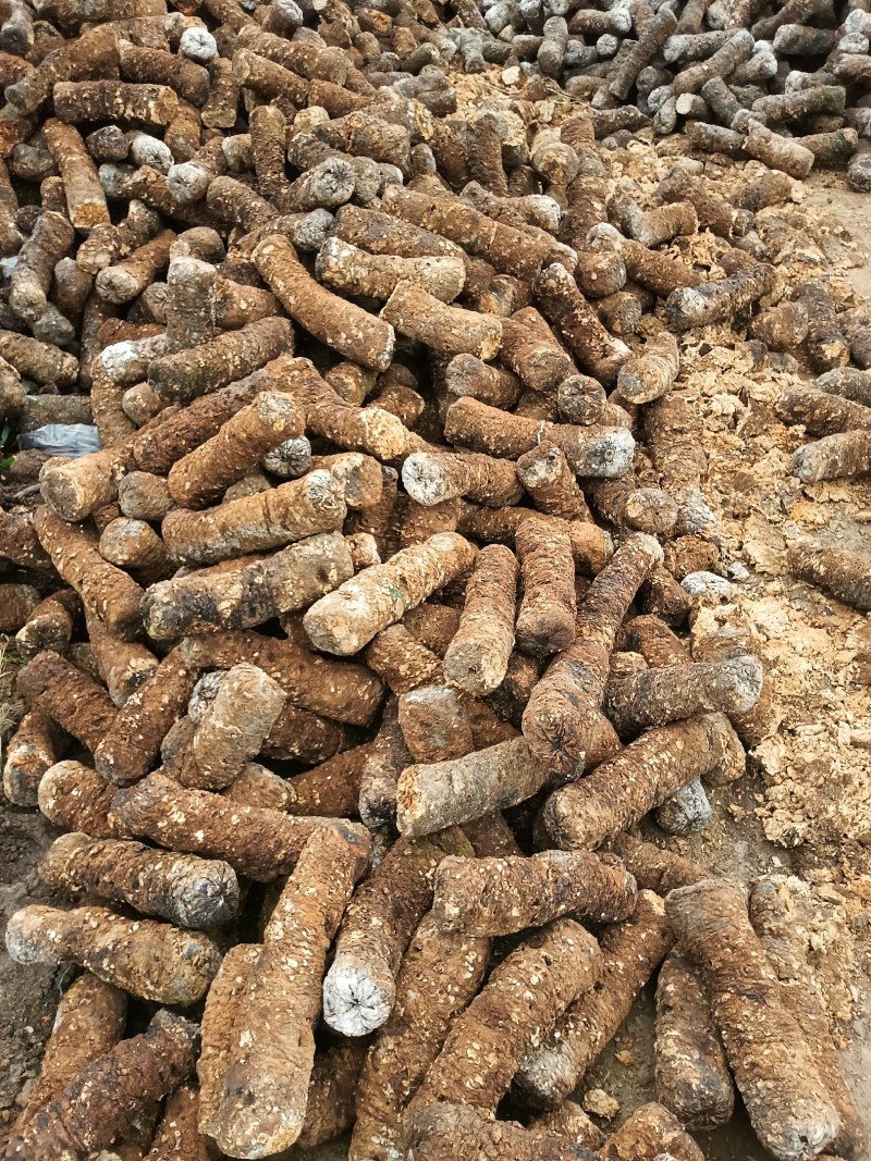 香菇废菌棒发酵好菌肥