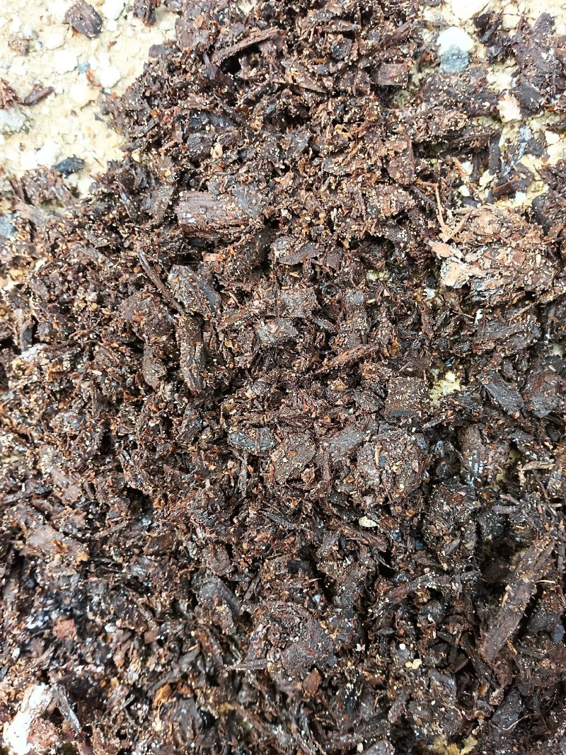 香菇废菌棒发酵好菌肥