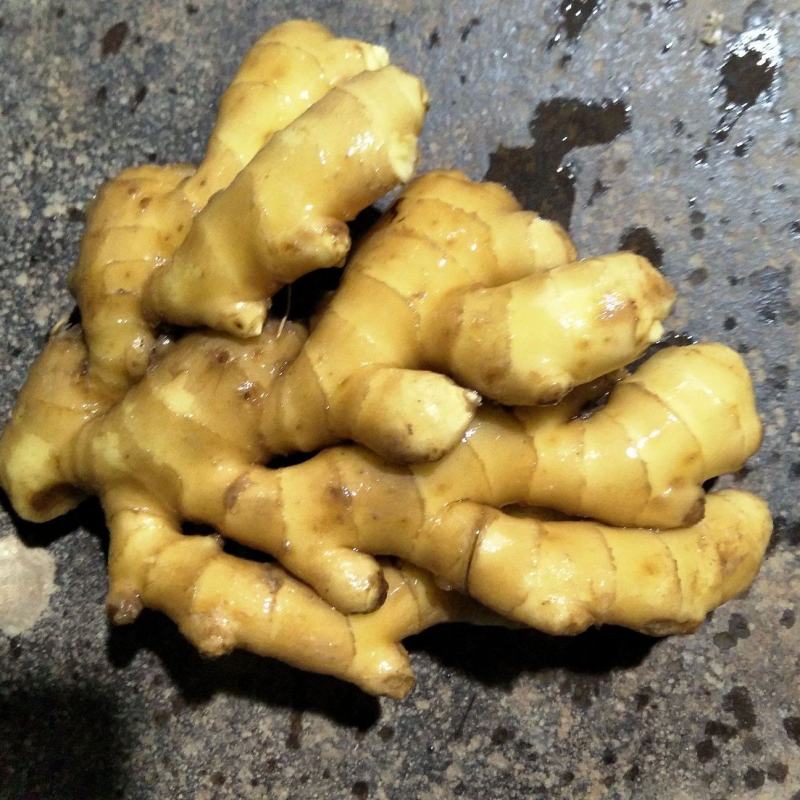 山东小黄姜产地直供(窖藏姜/风干姜/水洗姜)现货批发