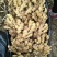 山东小黄姜产地直供(窖藏姜/风干姜/水洗姜)现货批发