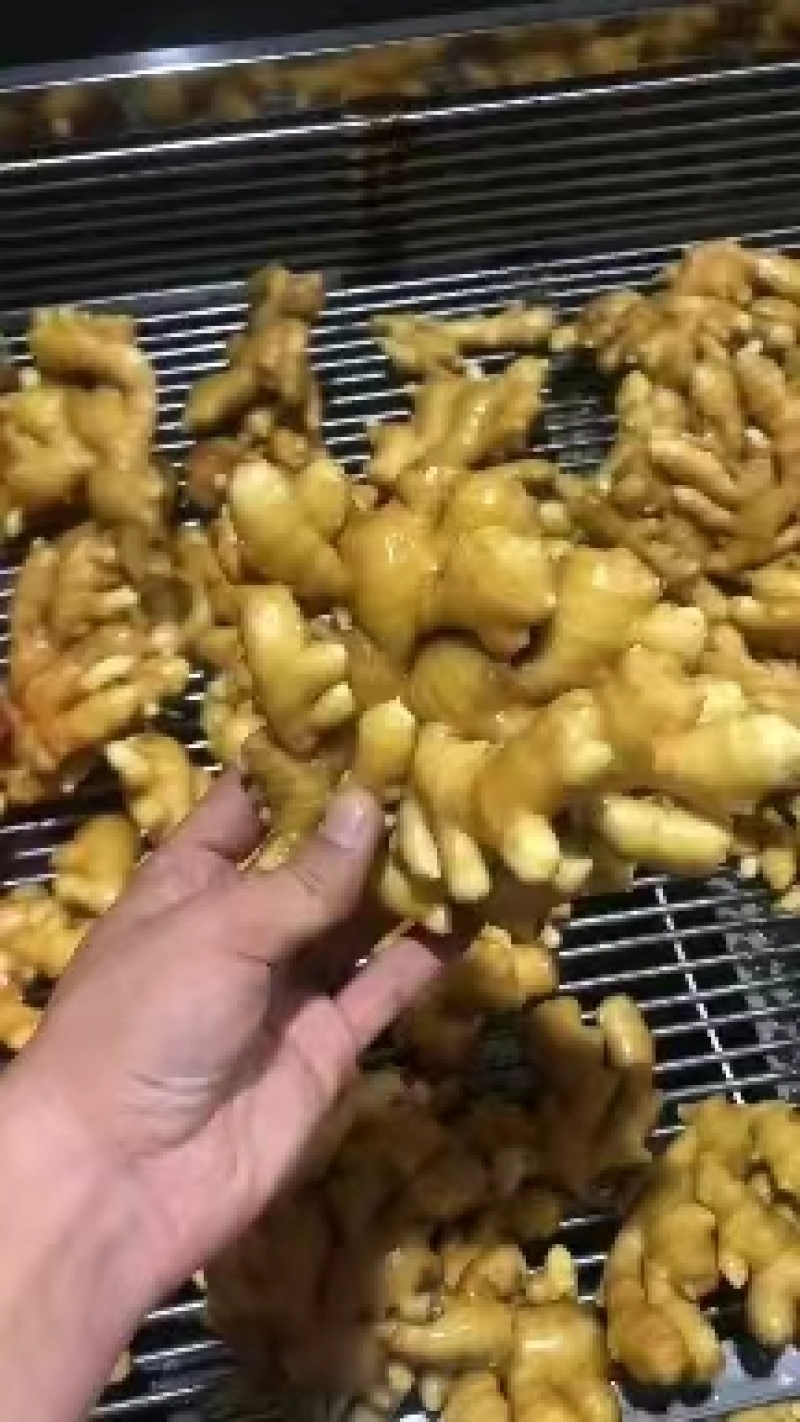 山东小黄姜产地直供(窖藏姜/风干姜/水洗姜)现货批发