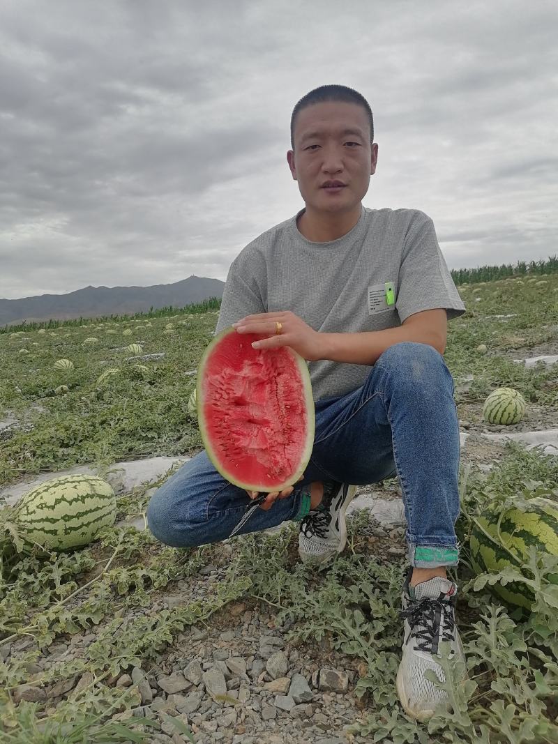 （宁夏产区）硒砂瓜平均个头二十八九以上15斤打底质量保证