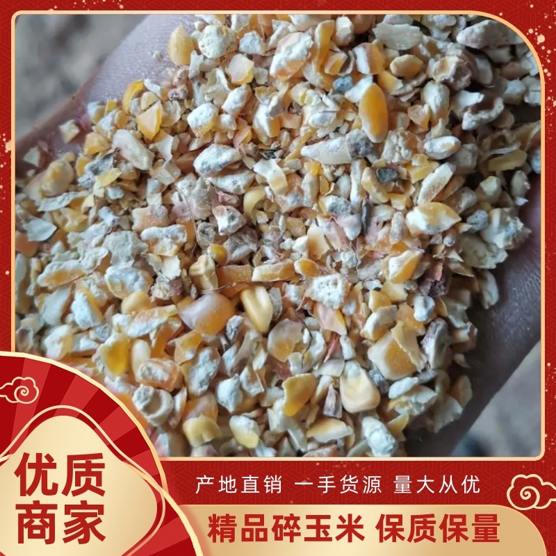 碎玉米脚下厂家直售，用于鸡鸭羊鹅饲料加工