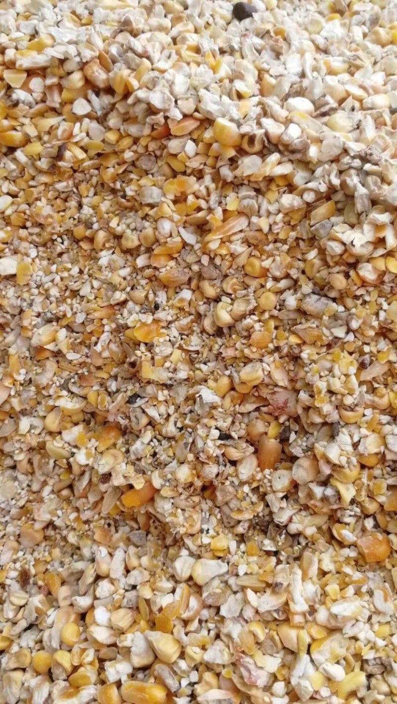 碎玉米脚下厂家直售，用于鸡鸭羊鹅饲料加工