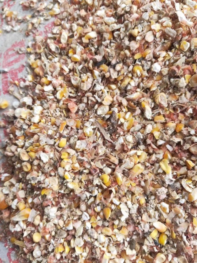 碎玉米脚下厂家直售，用于鸡鸭羊鹅饲料加工