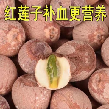 莲子500克红莲子带芯红莲红莲子干货有芯红莲带芯莲子有芯