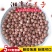 莲子500克红莲子带芯红莲红莲子干货有芯红莲带芯莲子有芯