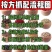大料香料调料大全组合八角桂皮白芷香叶卤水炖肉料卤料批发