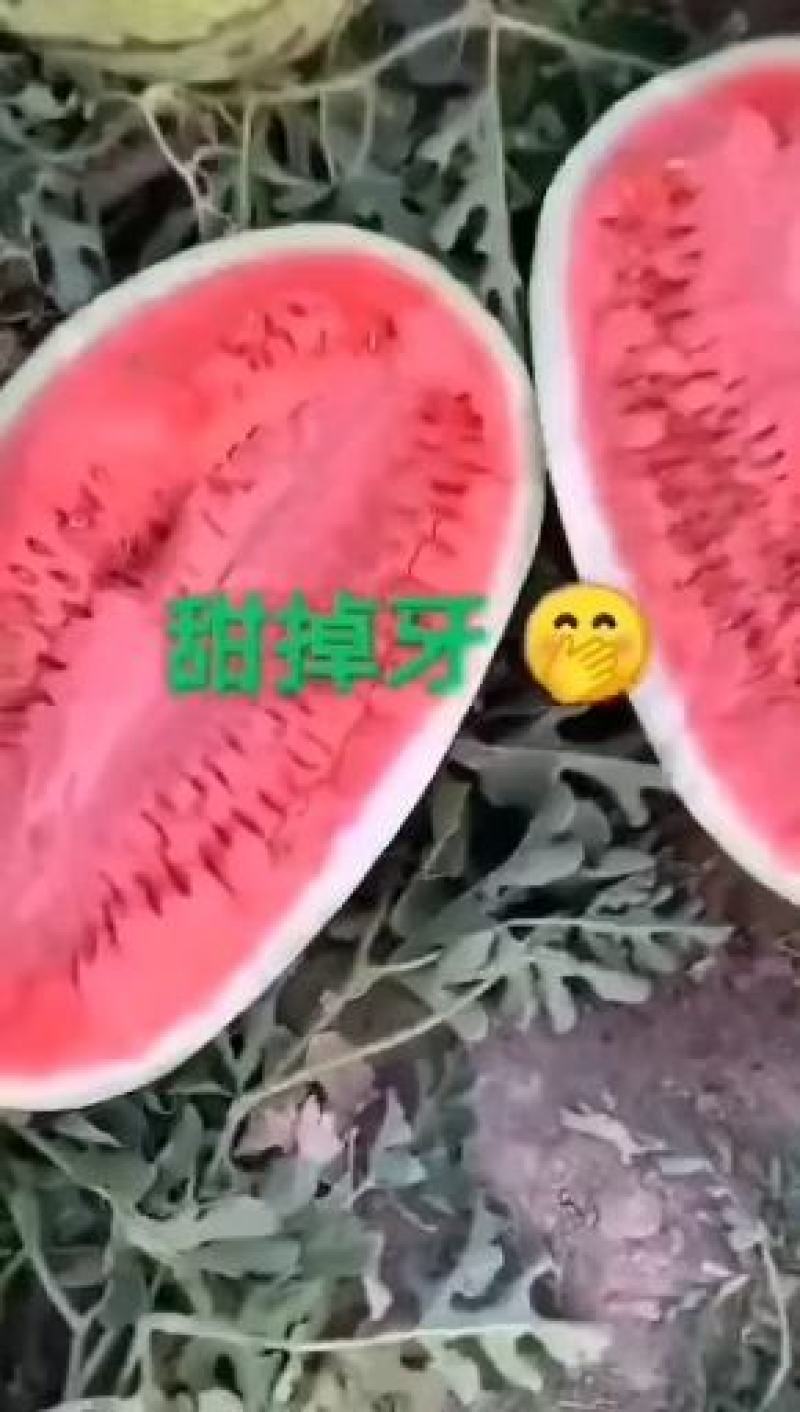 精华一号，金城五号，价格便宜了