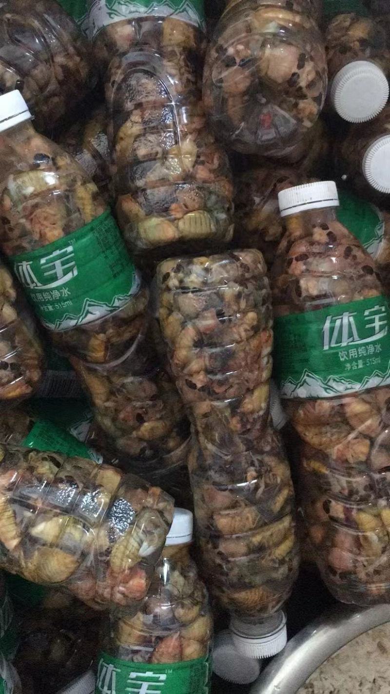 金蝉白蝉