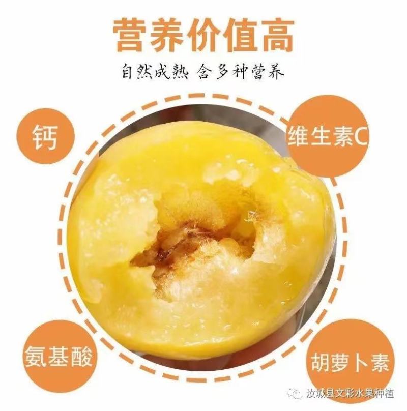 黄金奈李