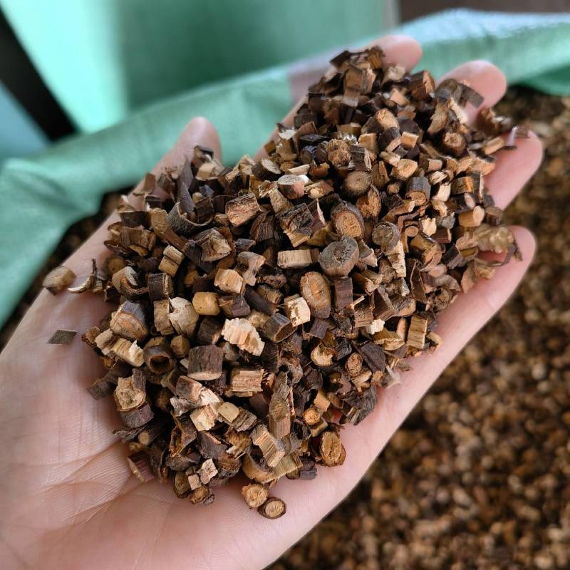 桂枝实物拍摄常年有货源物美价廉重在品质欢迎选购