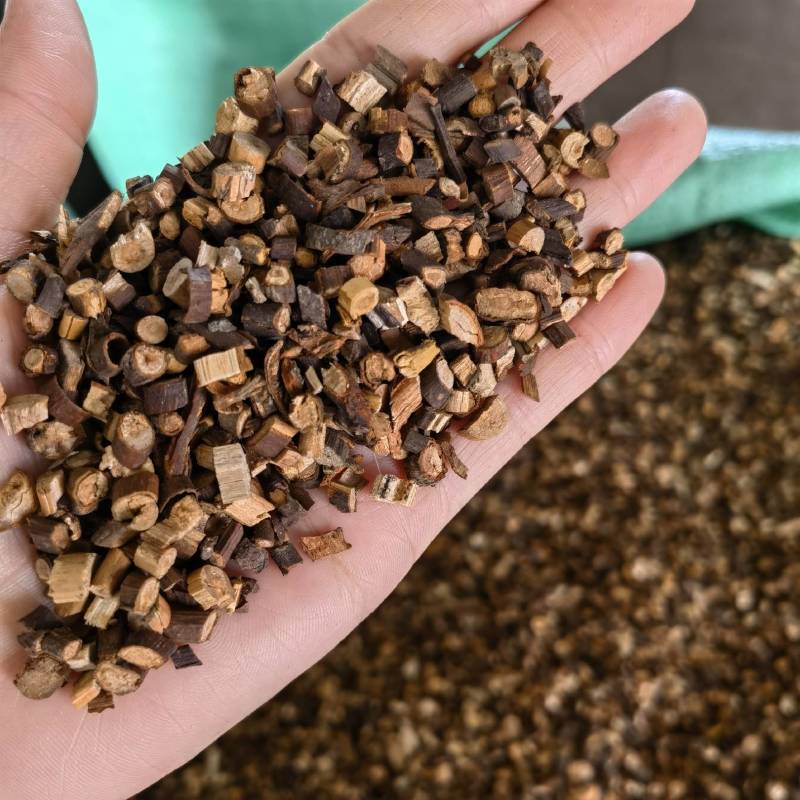 桂枝实物拍摄常年有货源物美价廉重在品质欢迎选购