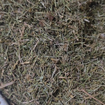 半边莲净货新货草药大全各种中药材批发